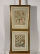 Set of 5 Decor Themed Prints