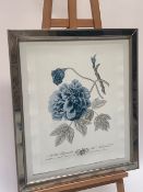 Pair of Botanical Themed Prints