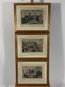 Set of 5 Matching Lithographical Prints