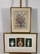 Set of 4 Botanique Themed Prints