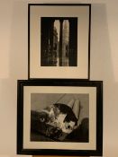 Set of 5 Large Photo Prints