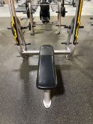 Everlast Bench Press