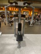 Everlast Fly/Rear Delt
