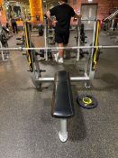 Everlast Bench Press