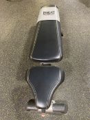 Everlast Bench