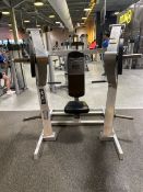 Everlast Chest Press