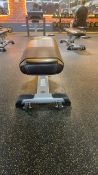Everlast Bench