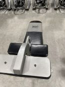 Everlast Abs Bench