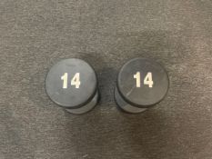 Eurosport dumbbells - 14kg x2