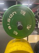 Bison 10kg Weight Plate X2