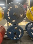 Bison 20kg Weight Plate X2