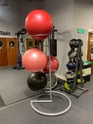 Yoga Ball Stand with Set of Yoga Balls