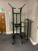 Technogym Kneeling Easy Chin Dip Machine