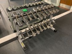 Technogym Dumbell Rack