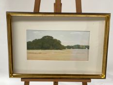 J.Folchi Yellow Grass Landscape Print