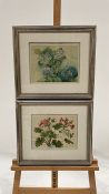 Floral Artwork Prints Set of 2
