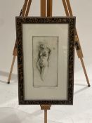 Naked Lady Artwork Print