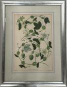 Floral Artwork Prints Set of 2