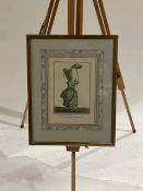 Lady Portrait Artwork Print