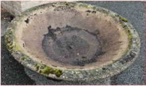 1 x Concrete Planter