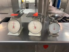 Set of 3 Various Scales