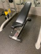 Everlast Weight Bench