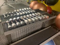 Set of Various Eikver Dumbells