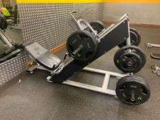Everlast Decline Leg Press