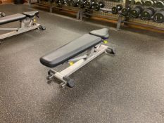 Everlast Weight Bench