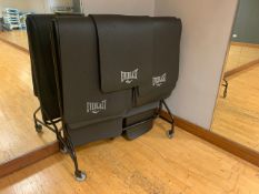 Set of 12 Fitness Mats