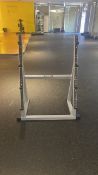 Technogym barbell stand