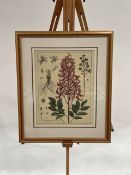 Botany Artwork Prints x2