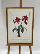 Potted Flower Artwork