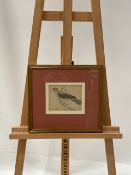 Bird Artwork