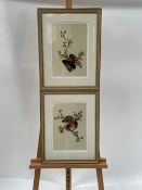 Shell Artwork Prints x2