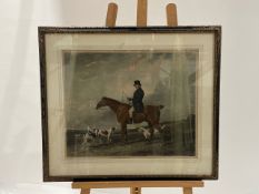 Horse Artwork
