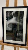 Artwork - Age Of Elegance Photo Print