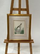 Bird Artwork