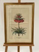 Flower Artwork Print