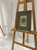 Artwork - Leaves And Fruit Print