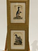 Bird Artworks Set of 2