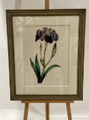 Flower Artwork Print