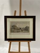 Artwork - Memelon Vert Sketch