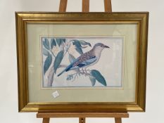 Bird Artwork