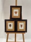 Vase Artwork Prints x3