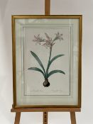 Flower Artwork