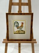 Chicken Artwork