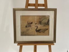 Duck Artwork Print