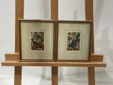 Small Bird Artwork Prints x2