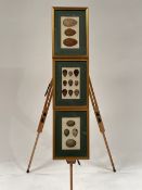 Artwork - Set of 3 Egg Prints